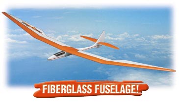 DYF Bird of Time ARF 3m Wingspan Glider