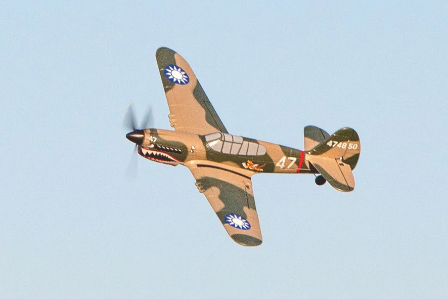 (image for) RAGE RC P-40 WARHAWK MICRO-MINI RC FLYER COMPLETE