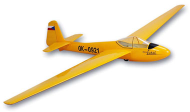 (image for) Gliders, Scale & Sport